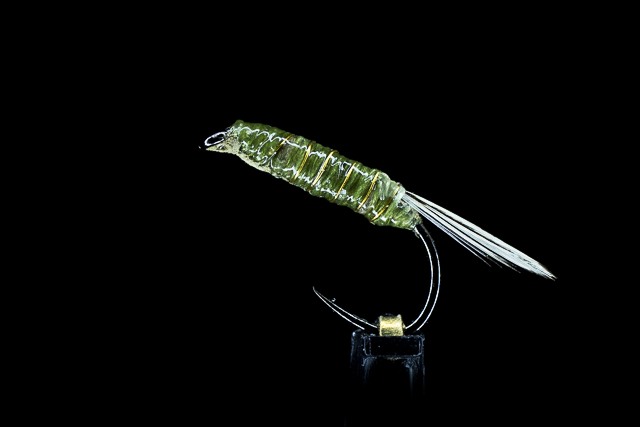 Skinny simple nymph ideal for french nymphing and Spanish nymphing rigs
