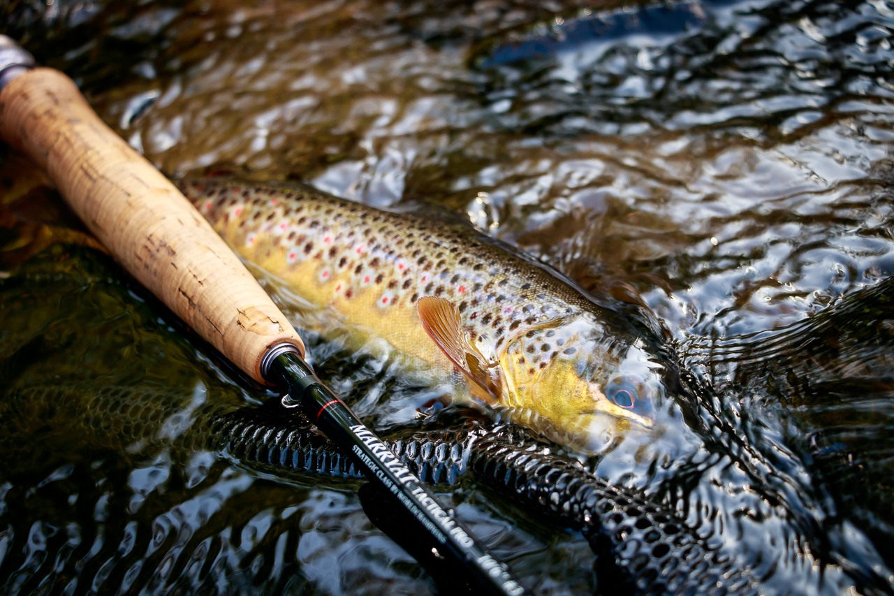 Marryat Tactical Pro rod and wild trout