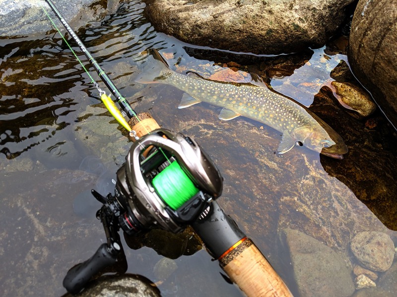 Bfs trout/chub fishing : r/BFSfishing