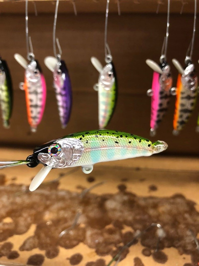 Christopher Zimmer hand-painted crank bait