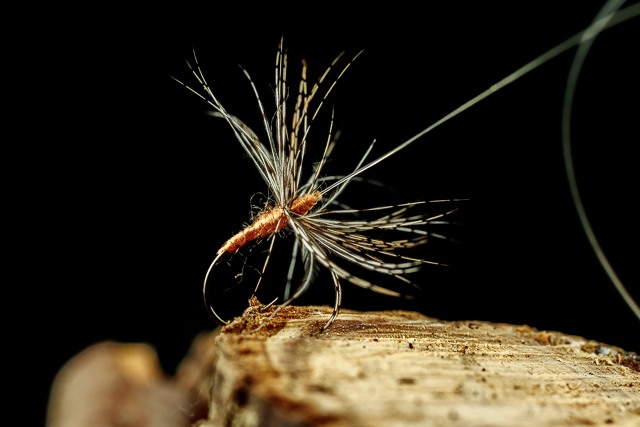 Mosca Valsesiana by Andrea Scalvini