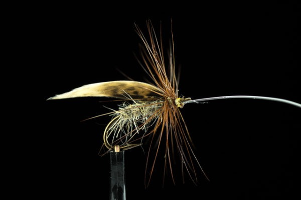 Wet Fly Fishing: The Insider Guide - Fishing Discoveries