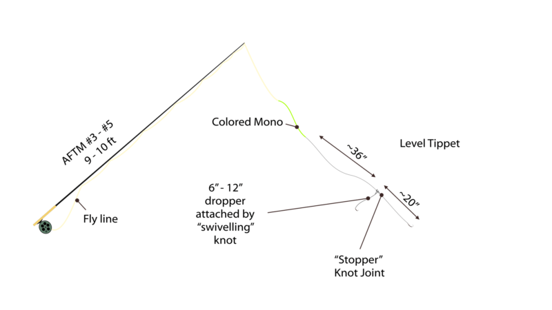 Polish Nymphing Tactics: 3 Mistakes You Must Avoid & How to Get it Right