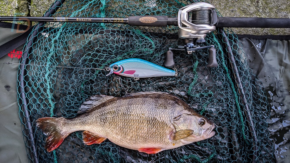 88g 16cm slider bait and big perch