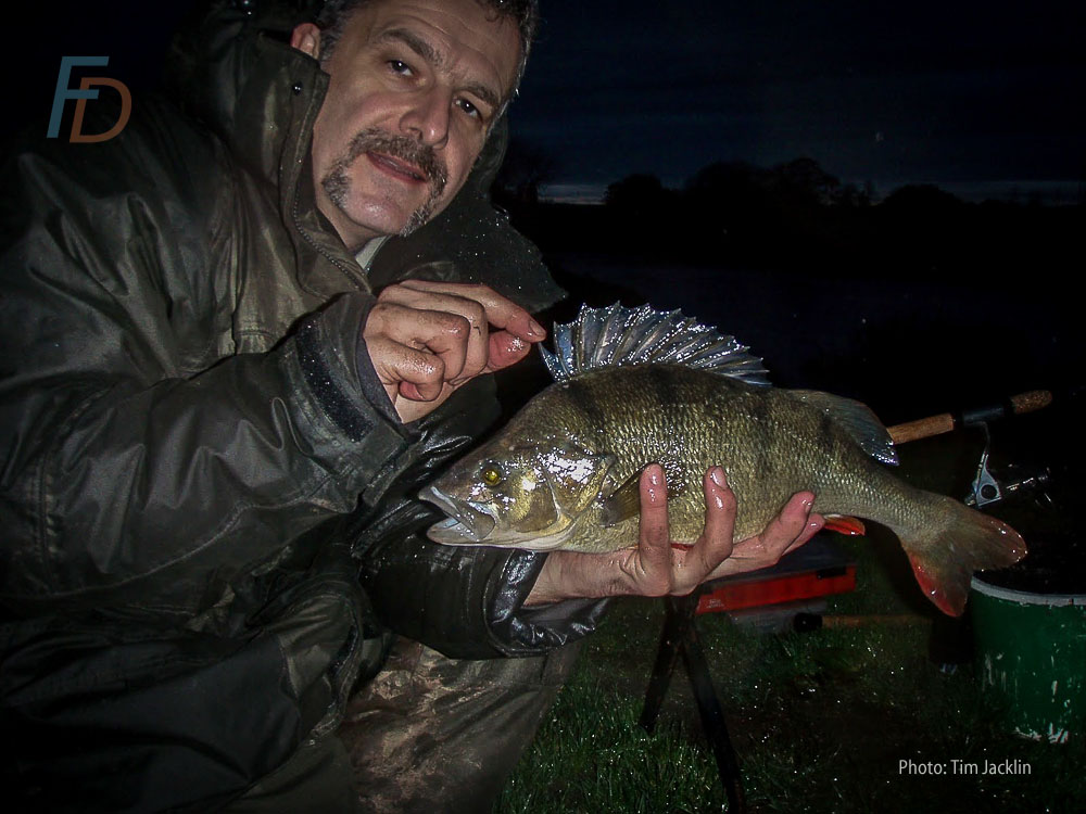 Movember and perch fishing