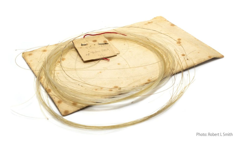 Horse hair fly line and tippets would be created by furling high quality hanks of raw material