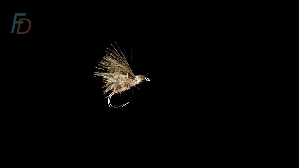 Dry Fly Fishing for Trout: Expert Secrets from Beginner to Advanced