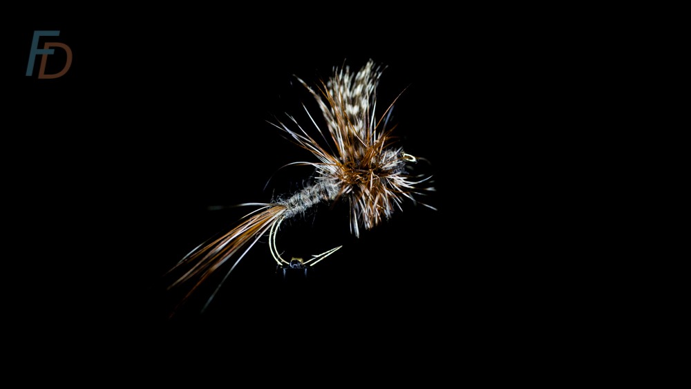 Shop bought dry fly with trimmed hackle