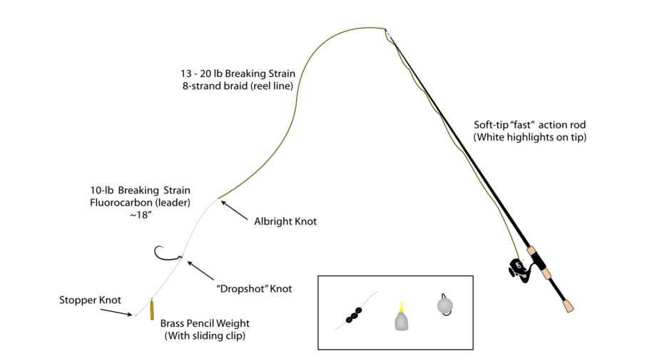 Dropshotting for Perch: Quick Start Guide & Some Slightly Weird Tactics