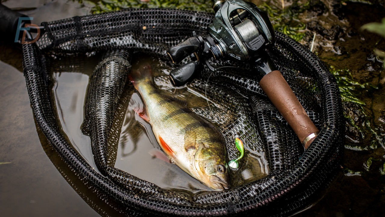 2 Best ChatterBait Rod Setups for Every Situation 