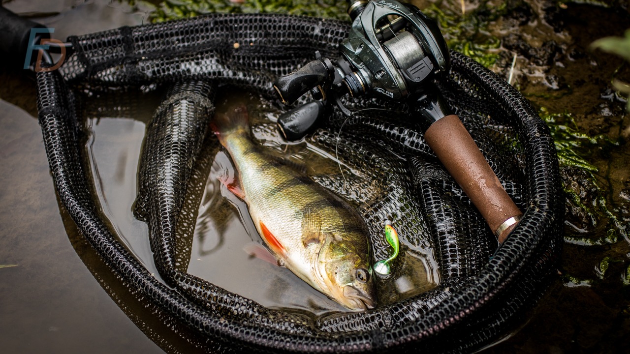 Learn how to fly-rig a streamer for bass fishing