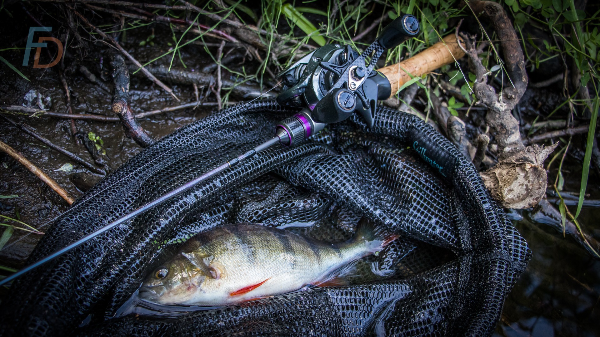 bait finesse casting skills rewarded with a perch