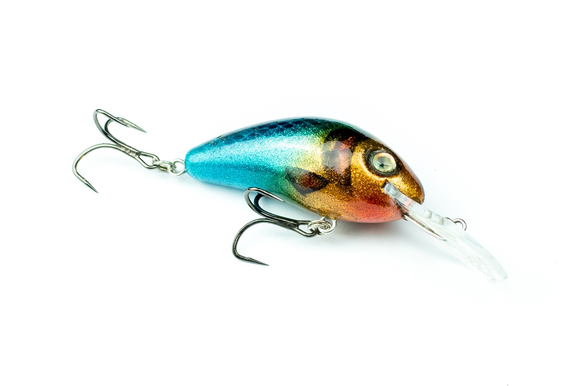 Salmo Hornet in Custom Fishing Discoveries Colours