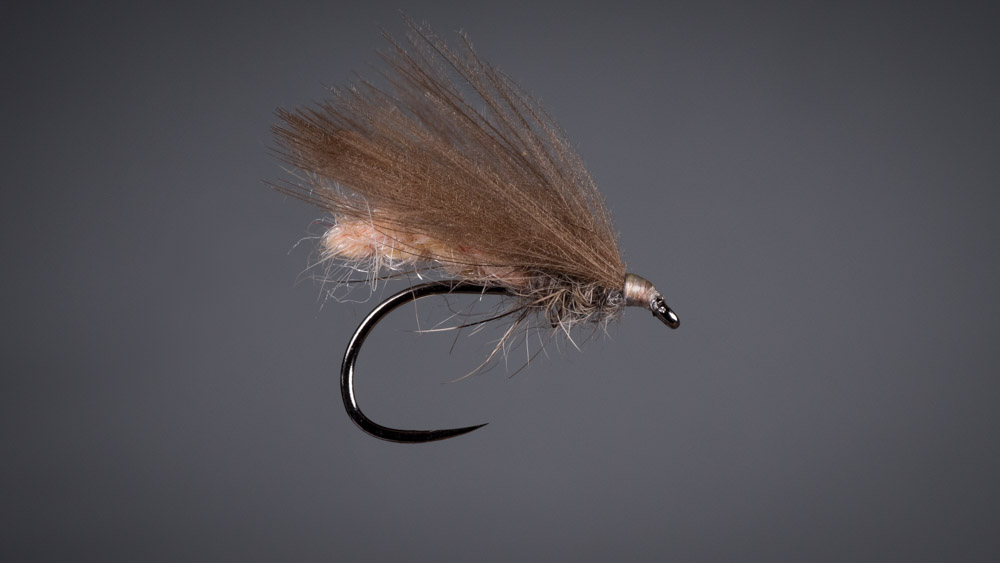 Polish Competition Caddis Dry Fly