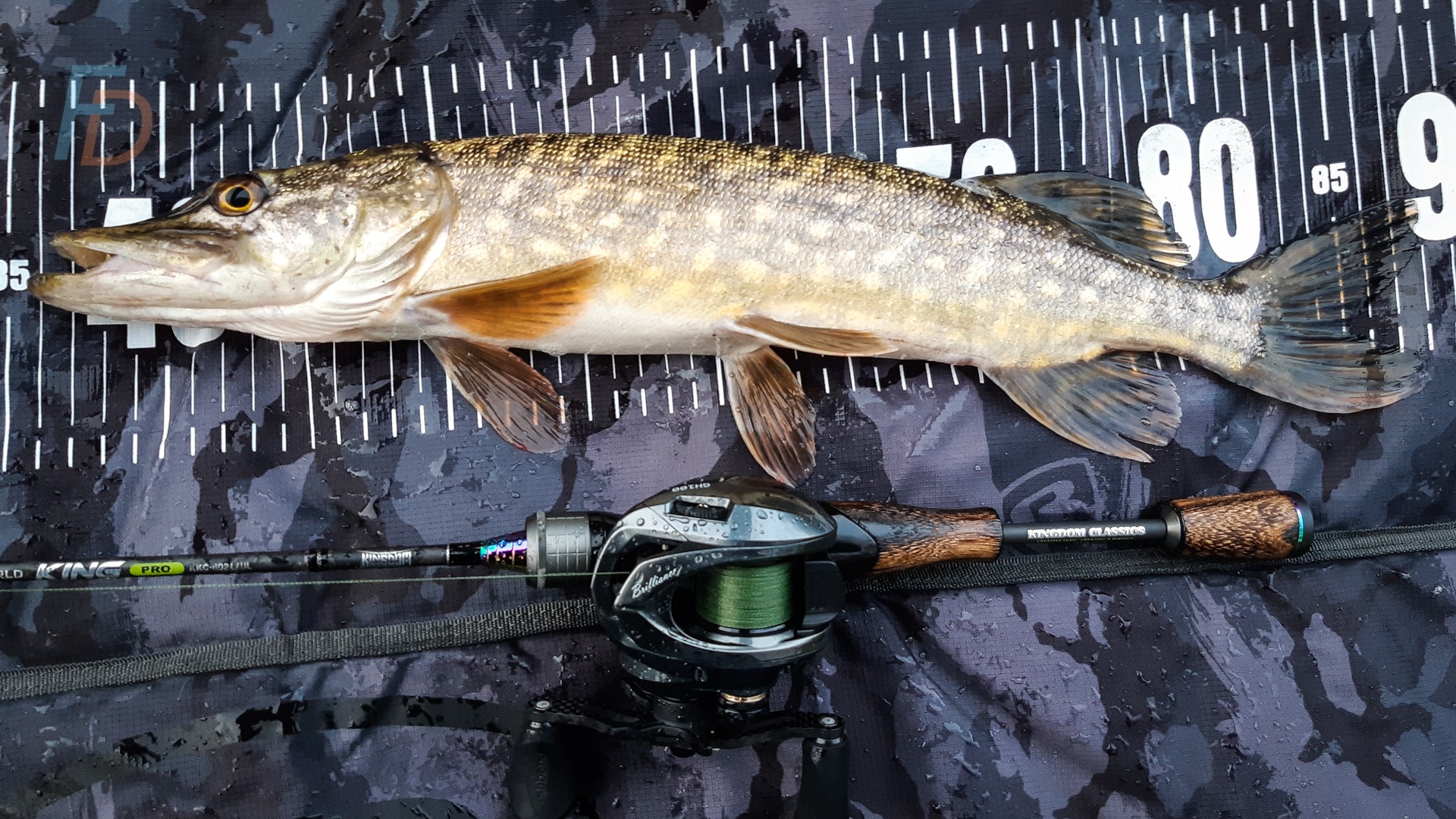  Northern Pike Fisherman Pike Fishing Rod Pike Fisher PopSockets  Standard PopGrip : Cell Phones & Accessories
