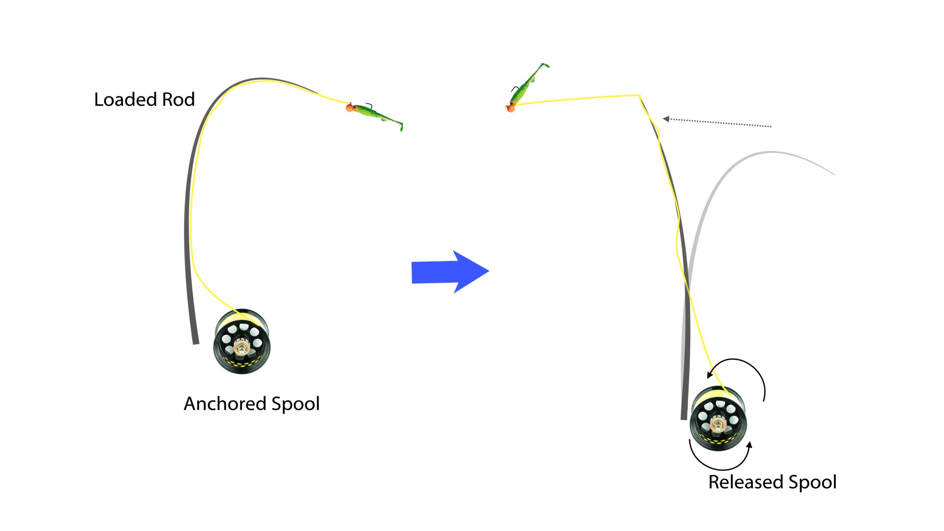 baitcaster or spinning reel - illustrating spool inertia for baitcasting reel