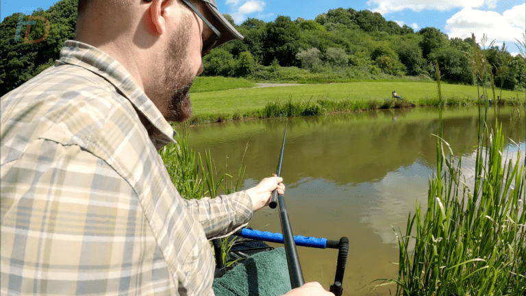 Pole Fishing: Progressing from Absolute Beginner to Advanced Angler