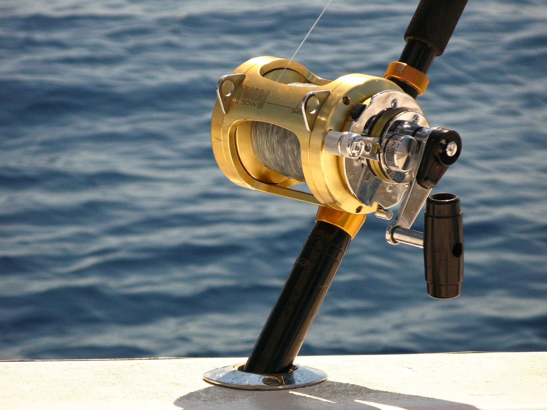 baitcaster or spinning reel for deep sea fishing