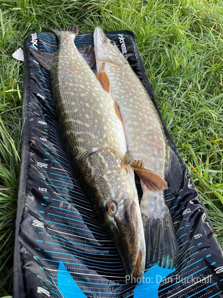 Pike Fishing Double-Trouble caught by Dan Bucknall