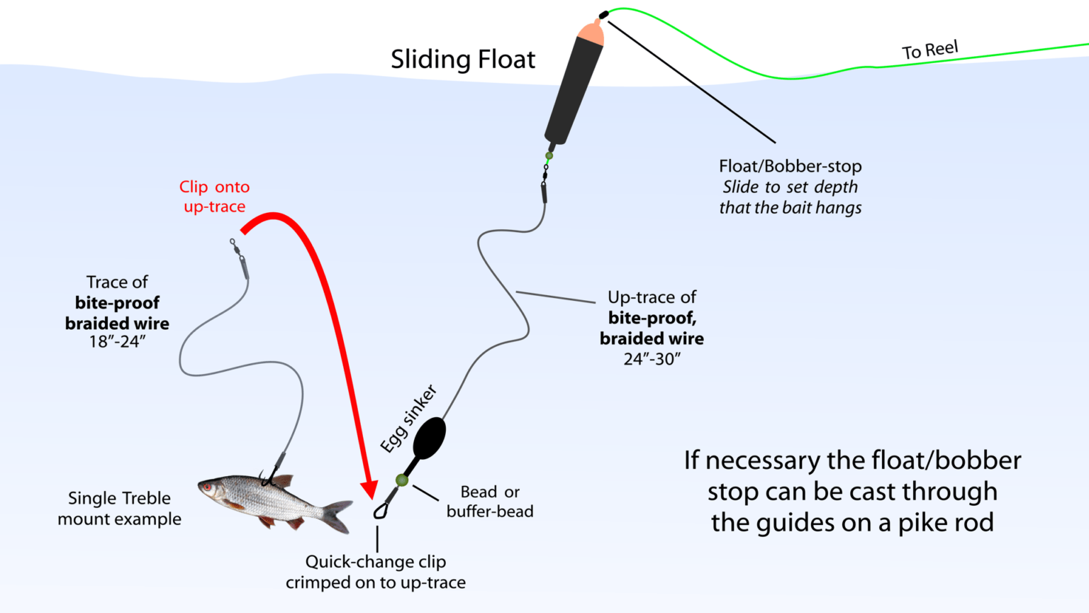 Pike Fishing The FD Guide to Fishing for Northern Pike (Esox lucius)