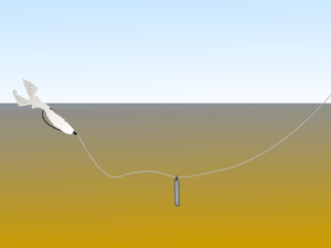 Perch Fishing Rigs: Don’t let Bass Anglers Have All the Fun