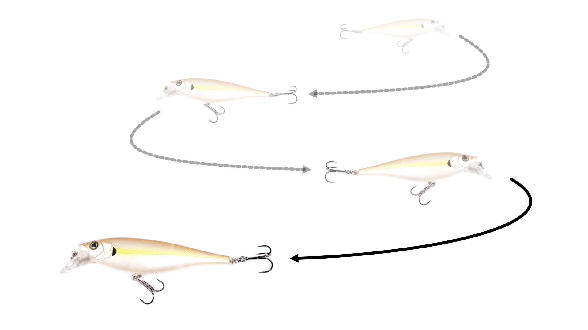 Crank Bait vs Jerk Bait: What's the Difference? PLUS When & How to Use