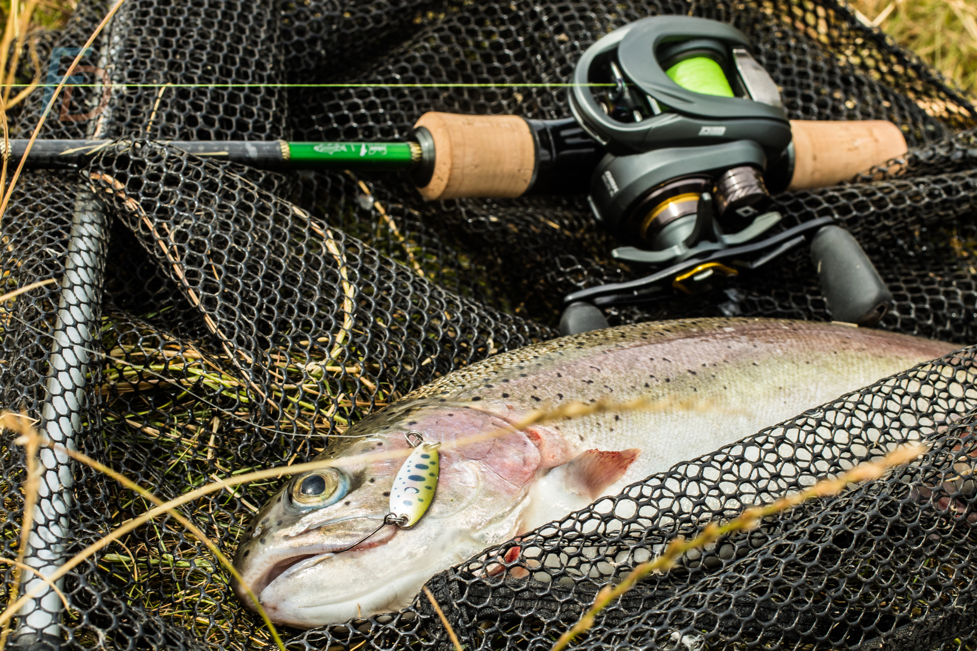 Stockie rainbow on the Handing M1 Trout C702L